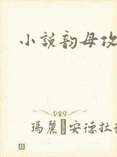 小说韵母攻略