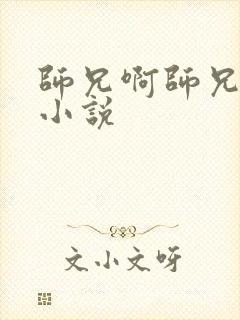 师兄啊师兄原著小说封面
