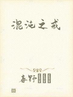 混沌之戒封面