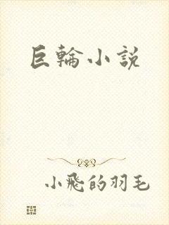 巨轮小说