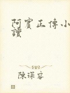 阿宾正传小说在读