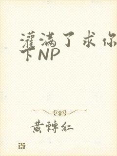 灌满了求你们停下NP