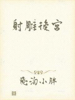 射雕后宫