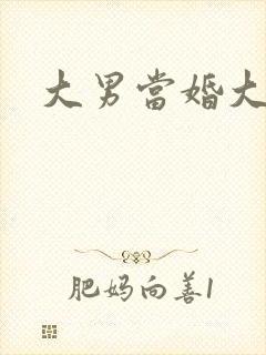 大男当婚大结局
