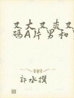 又大又爽又黄无码A片男和男封面