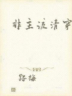 非主流清穿