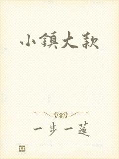 小镇大款封面