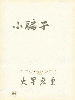 小骗子