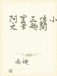阿宾正传小说全文笔趣阁