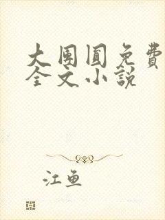 大团圆免费阅读全文小说封面
