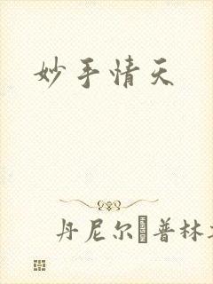 妙手情天封面