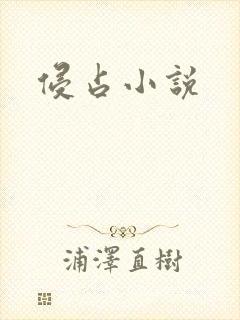侵占小说