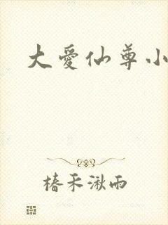 大爱仙尊小说封面