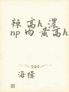 辣 高h 浓 np 肉 黄高h封面