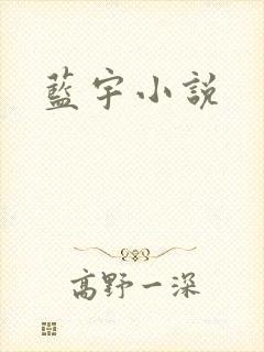 蓝宇小说