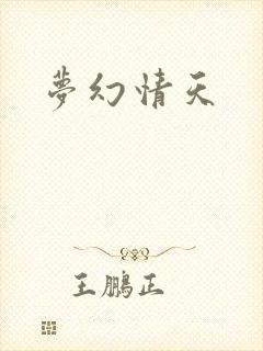 梦幻情天封面
