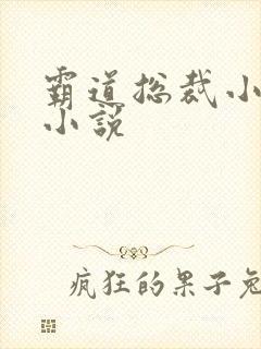 霸道总裁小娇妻小说
