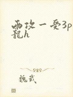 两攻一受3p双龙h