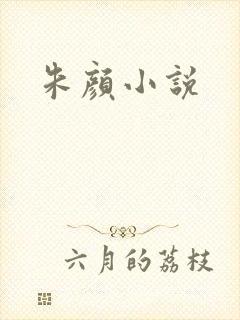 朱颜小说