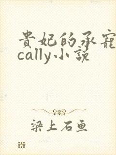 贵妃的承宠日常cally小说