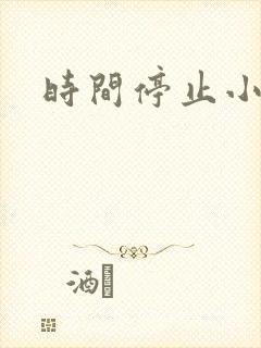 时间停止小说