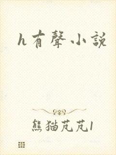 h有声小说