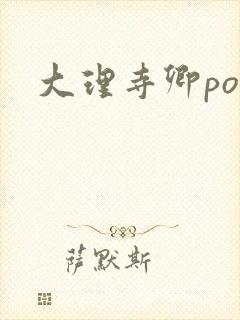 大理寺卿po封面