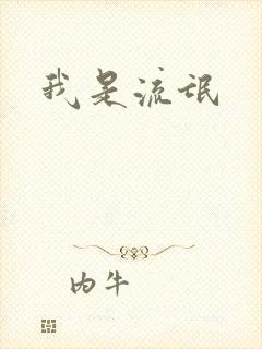 我是流氓