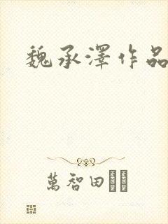 魏承泽作品封面