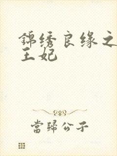 锦绣良缘之北地王妃
