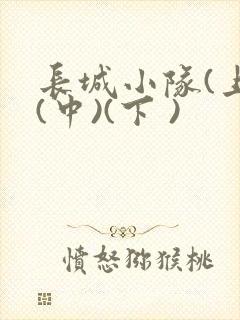 长城小队(上)(中)(下 )