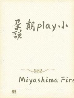 孕期play小说