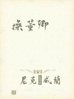 操董卿
