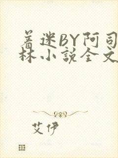着迷BY阿司匹林小说全文免费阅读