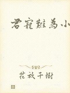 君宠难为小说