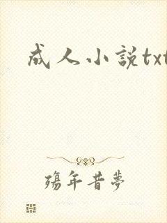 成人小说txt