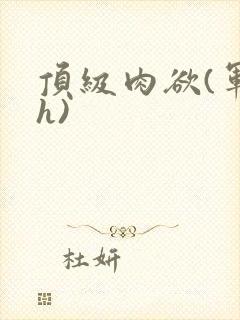 顶级肉欲(军高h)