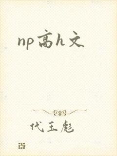 np高h文封面