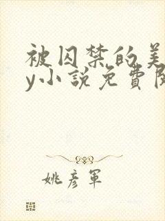 被囚禁的美人by小说免费阅读封面