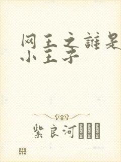 网王之谁是我的小王子