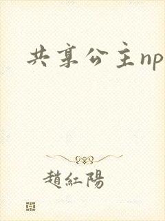 共享公主npc封面