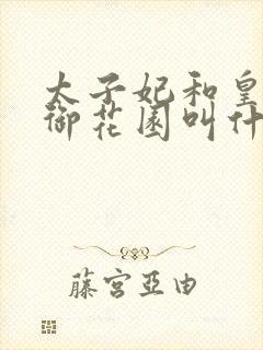 太子妃和皇帝在御花园叫什么小说