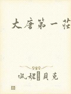 大唐第一庄