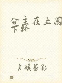 公主在上国师请下轿