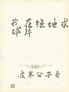 我在绝地求生捡碎片