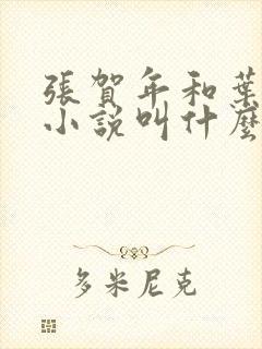张贺年和叶繁姿小说叫什么名字