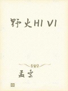 野火H1 V1封面