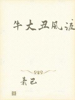牛大丑风流记
