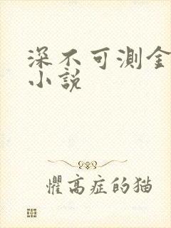 深不可测金银花小说