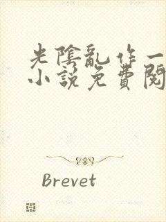 光阴乱作一团的小说免费阅读封面